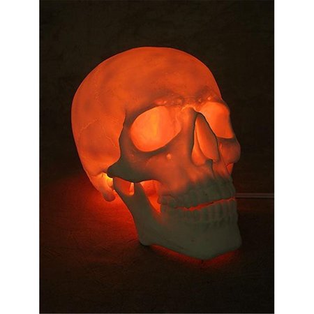 WONDERDESCONCIERTO Lighted Two Piece Skull WO1912149
